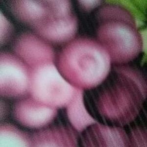 Meet your Posher, Johnny